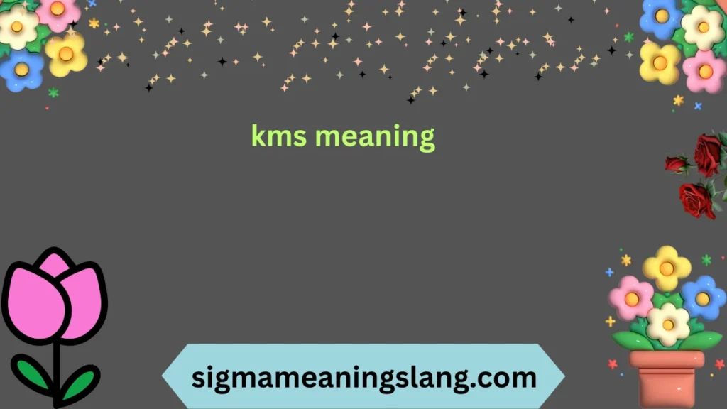 kms meaning