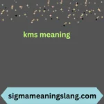 kms meaning