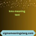 kms meaning text