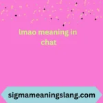 lmao meaning in chat