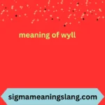 meaning of wyll