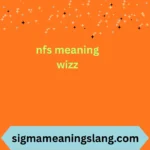 nfs meaning wizz