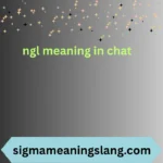 ngl meaning in chat