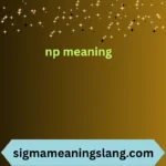 np meaning