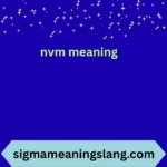 nvm meaning