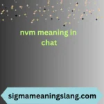 nvm meaning in chat