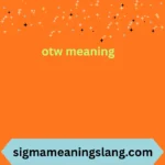 otw meaning