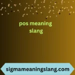 pos meaning slang