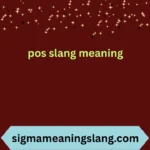 pos slang meaning