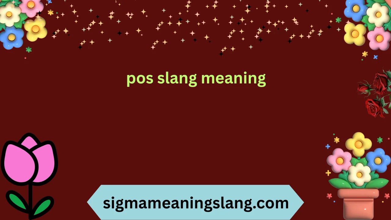 pos slang meaning
