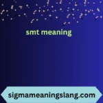 smt meaning