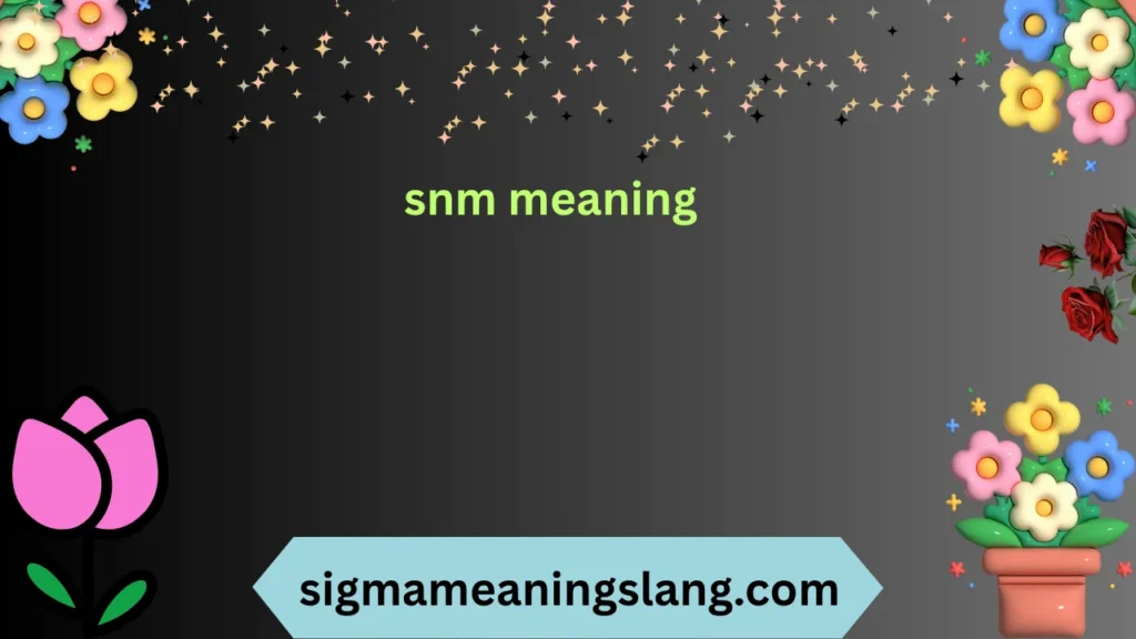 snm meanings