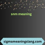 snm meanings