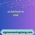 ss full form in chat