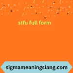 stfu full form