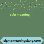 stfu meaning