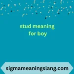 stud meaning for boy