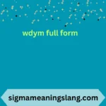 wdym full form
