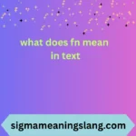 what does fn mean in text