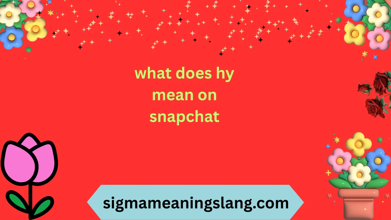 what does hy mean on snapchat
