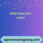 what does imo mean