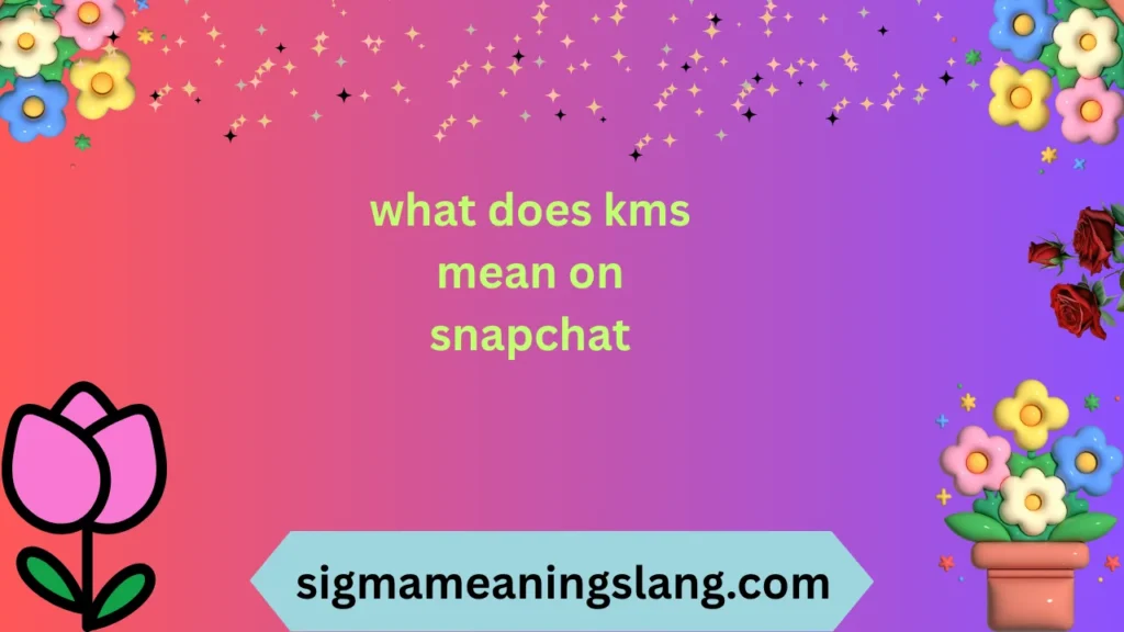 what does kms mean on snapchat