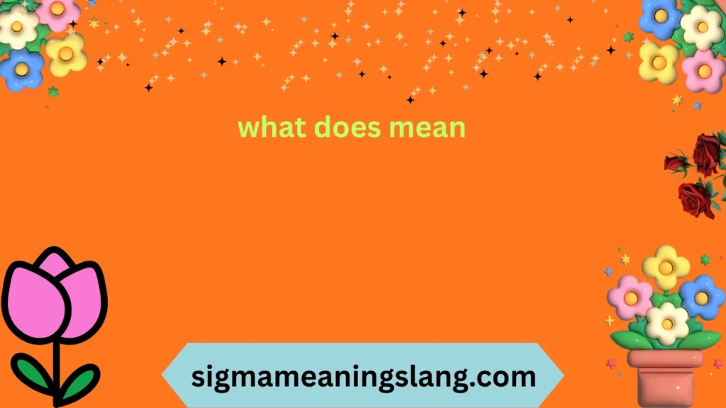 what does mean