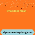 what does mean