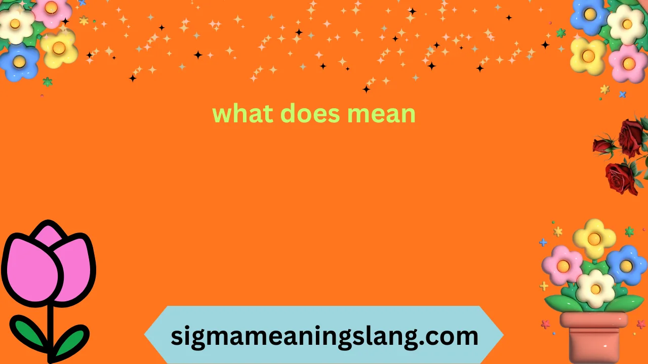 what does mean