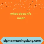 what does nfs mean