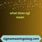 what does ngl mean