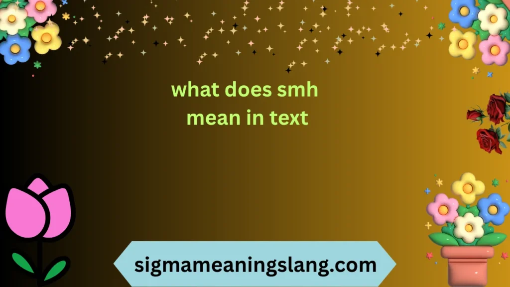 what does smh mean in text