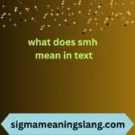 what does smh mean in text