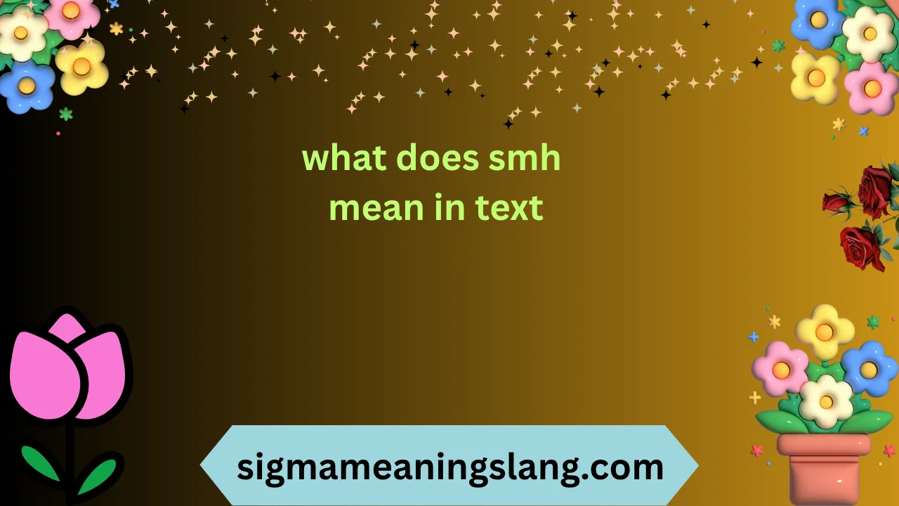 what does smh mean in text