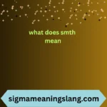 what does smth mean