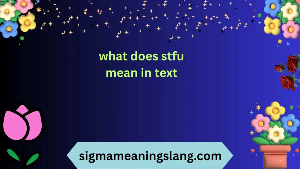 what does stfu mean in text