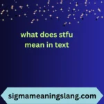 what does stfu mean in text