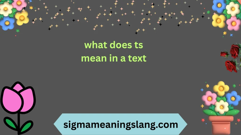 what does ts mean in a text
