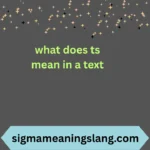 what does ts mean in a text