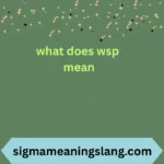 what does wsp mean
