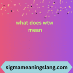 what does wtw mean