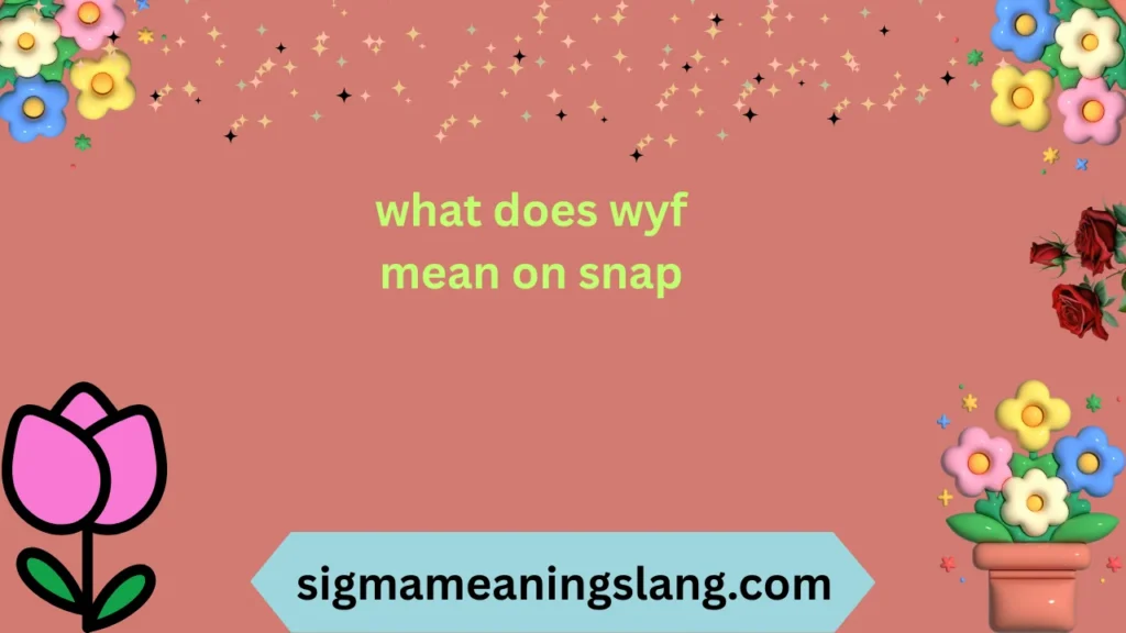 what does wyf mean on snap