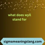 what does wyll stand for