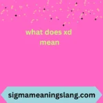 what does xd mean