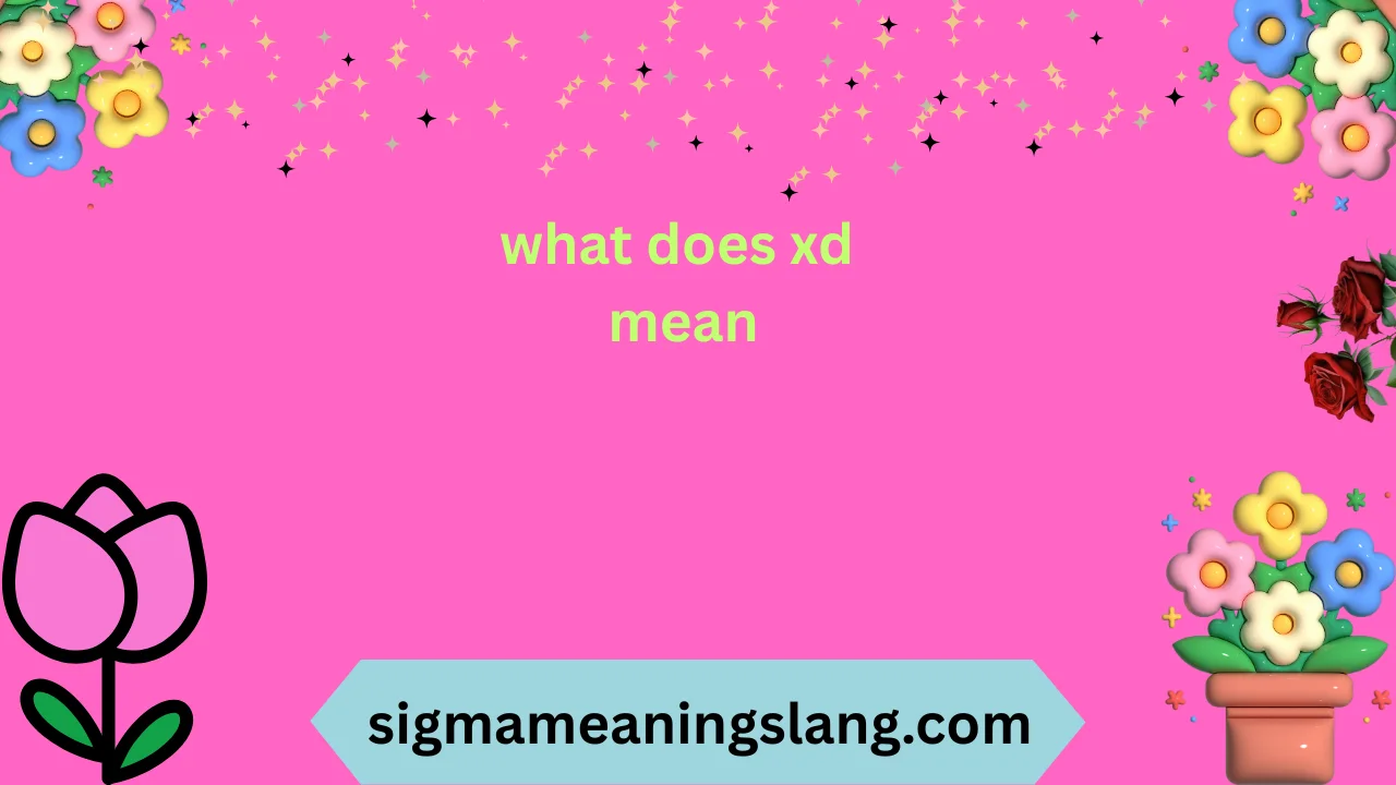 what does xd mean