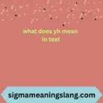 what-does-yh-mean-in-text