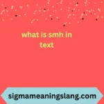 what is smh in text