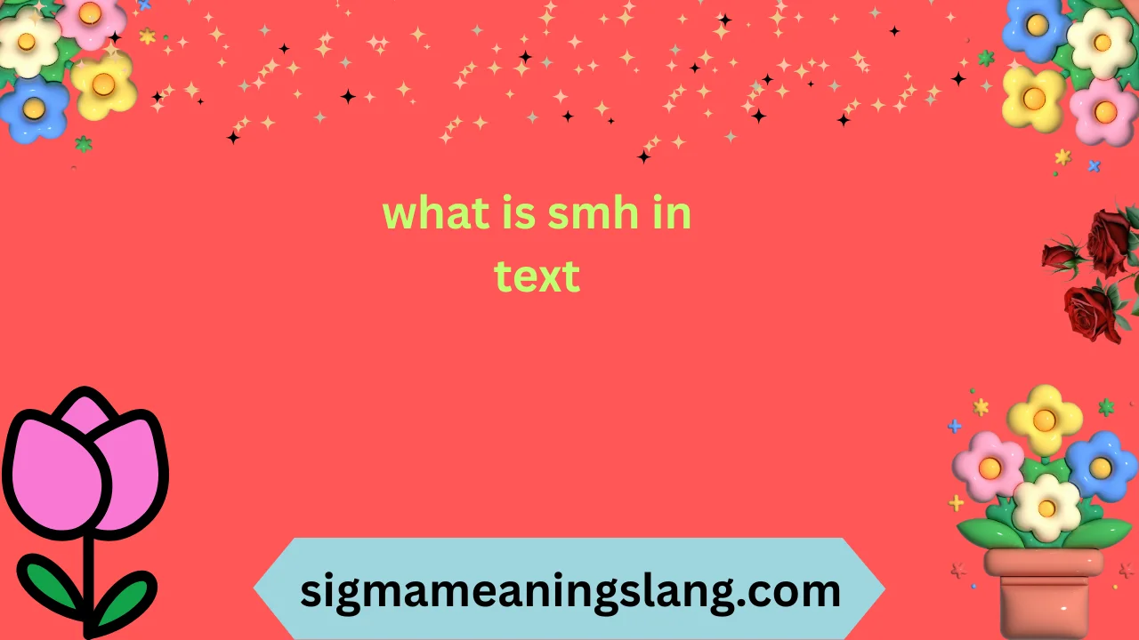 what is smh in text