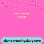 wsg meaning in chat