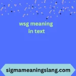 wsg meaning in text